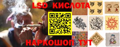 прущие грибы Свободный