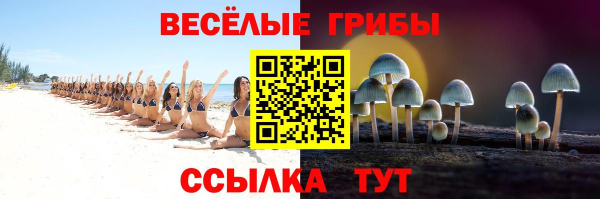 Галлюциногенные грибы мицелий  Вход с VPN  Алушта 